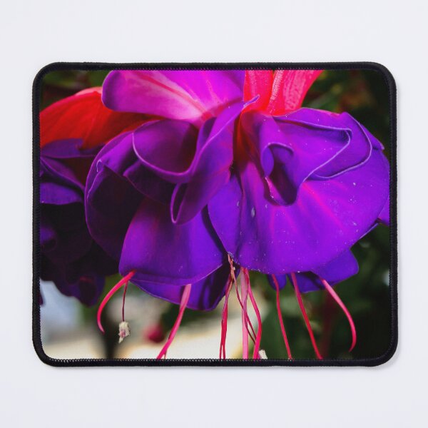 Item preview, What the fuchsia holds designed and sold by Kerry LeBoutillier.