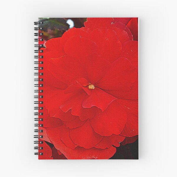 Item preview, Seeing red designed and sold by Kerry LeBoutillier.