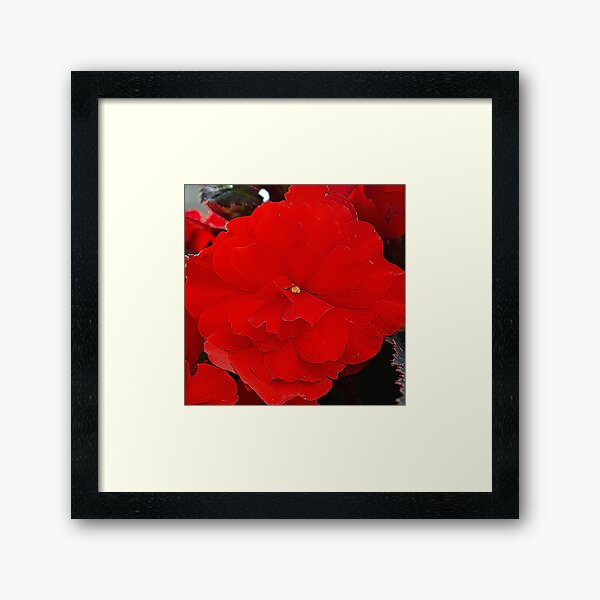 Item preview, Seeing red designed and sold by Kerry LeBoutillier.