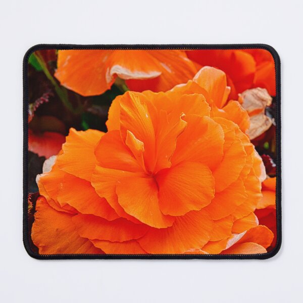 Item preview, Orange marmalade designed and sold by Kerry LeBoutillier.