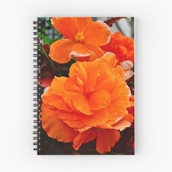 Item preview, Orange marmalade designed and sold by Kerry LeBoutillier.