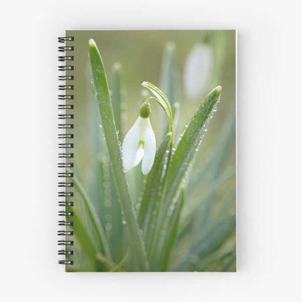 Item preview, Snowdrop designed and sold by Bianca-Jansen.