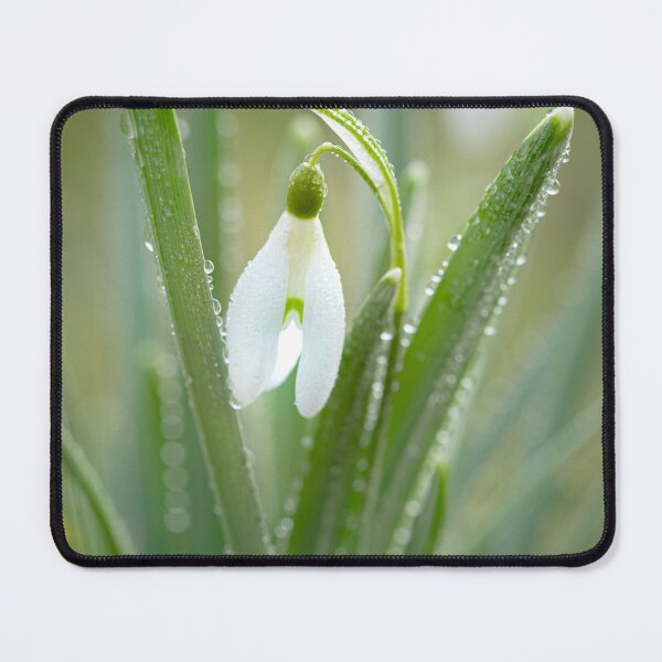 Item preview, Snowdrop designed and sold by Bianca-Jansen.