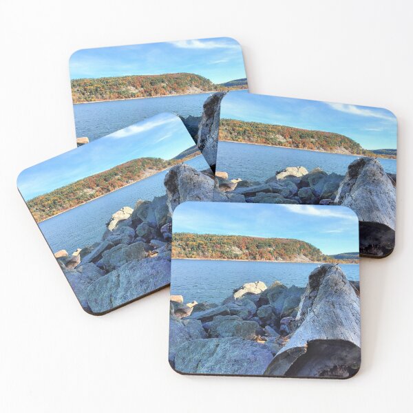 Item preview, Driftwood and Rocks Along Devil's Lake designed and sold by WilfuerM.