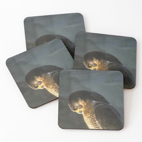 Item preview, Hawk Viewing the World from Above designed and sold by Mar-lisa.