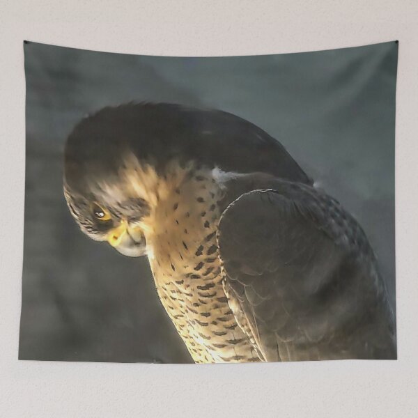 Item preview, Hawk Viewing the World from Above designed and sold by Mar-lisa.