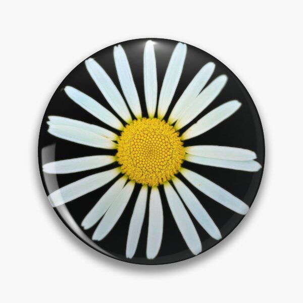 Item preview, Isolated meadow daisy – simple floral beauty in focus designed and sold by beatbieri.ch.
