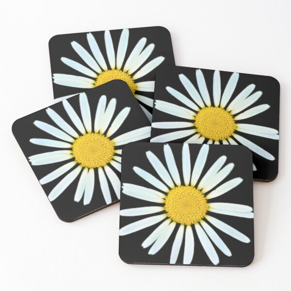 Item preview, Isolated meadow daisy – simple floral beauty in focus designed and sold by beatbieri.ch.