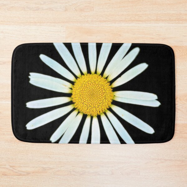 Item preview, Isolated meadow daisy – simple floral beauty in focus designed and sold by beatbieri.ch.