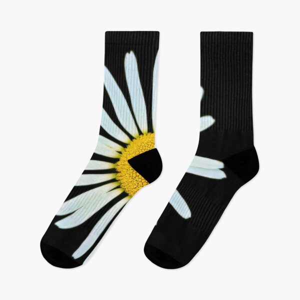 Item preview, Isolated meadow daisy – simple floral beauty in focus designed and sold by beatbieri.ch.