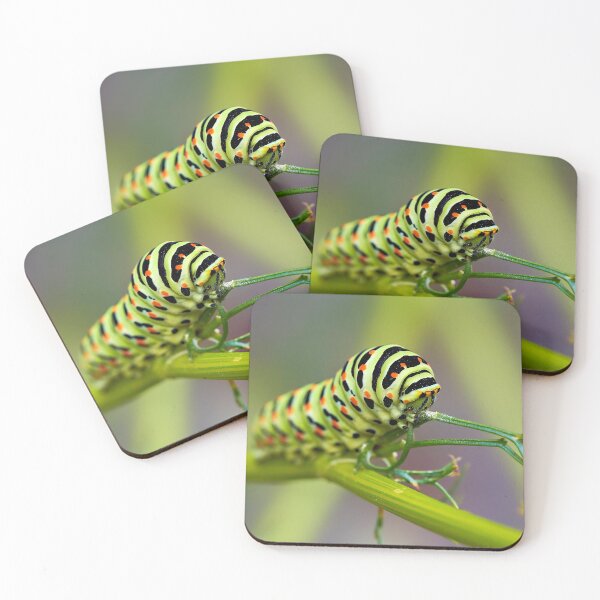 Item preview, Caterpillar – The silent transformative power of nature designed and sold by beatbieri.ch.