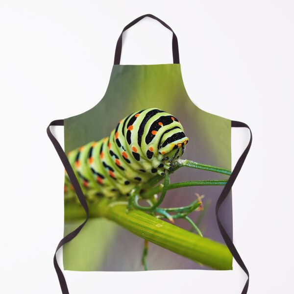 Item preview, Caterpillar – The silent transformative power of nature designed and sold by beatbieri.ch.