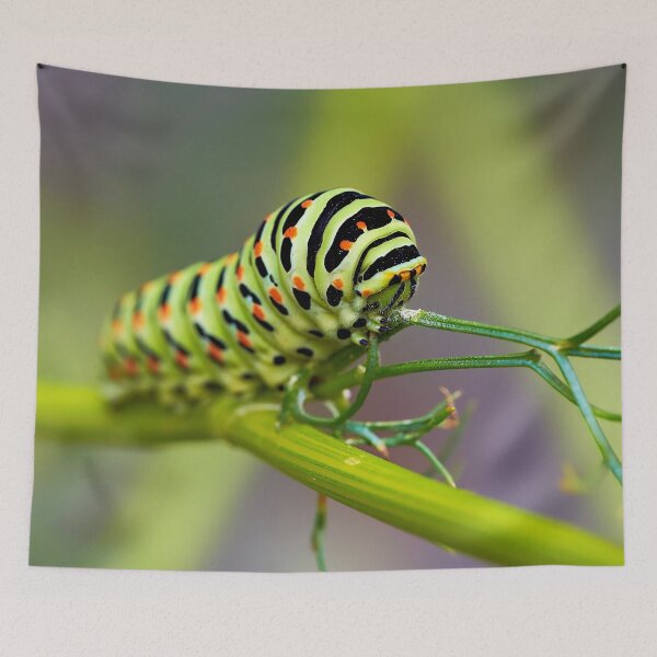 Item preview, Caterpillar – The silent transformative power of nature designed and sold by beatbieri.ch.