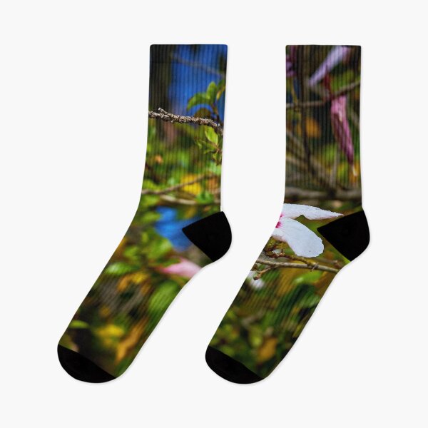 Item preview, Hibiscus in Greece – Mediterranean floral splendour in bright colours designed and sold by beatbieri.ch.