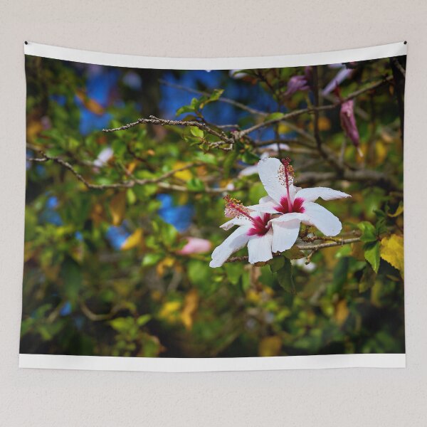 Item preview, Hibiscus in Greece – Mediterranean floral splendour in bright colours designed and sold by beatbieri.ch.