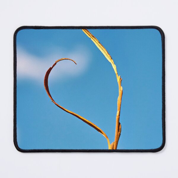 Item preview, Lonely blade of grass against a blue sky – simple beauty of nature designed and sold by beatbieri.ch.