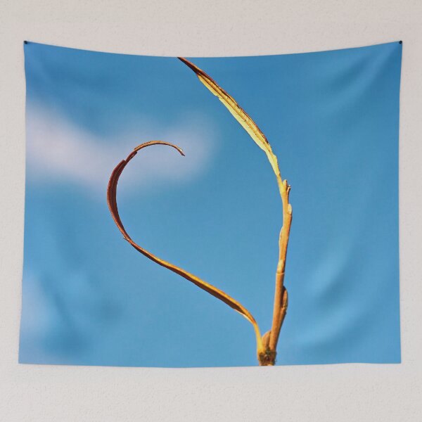 Item preview, Lonely blade of grass against a blue sky – simple beauty of nature designed and sold by beatbieri.ch.