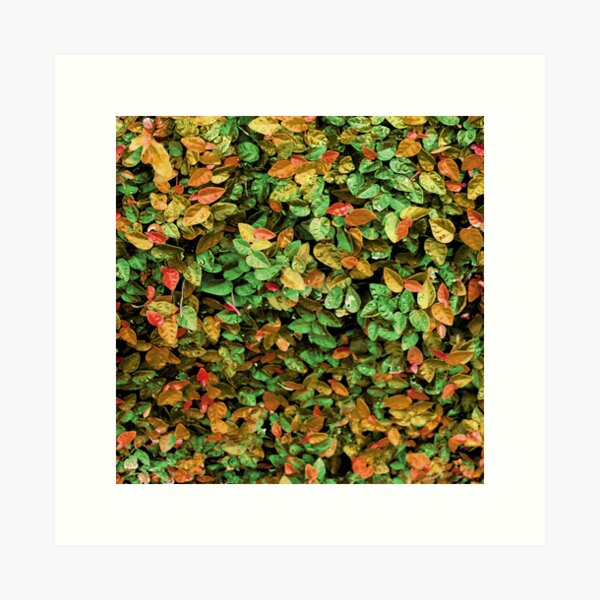 Item preview, autumn leaves designed and sold by paladinprints.