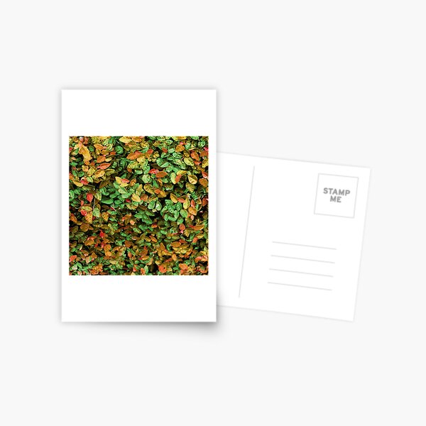 Item preview, autumn leaves designed and sold by paladinprints.
