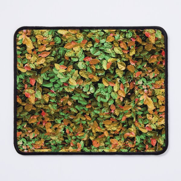 Item preview, autumn leaves designed and sold by paladinprints.