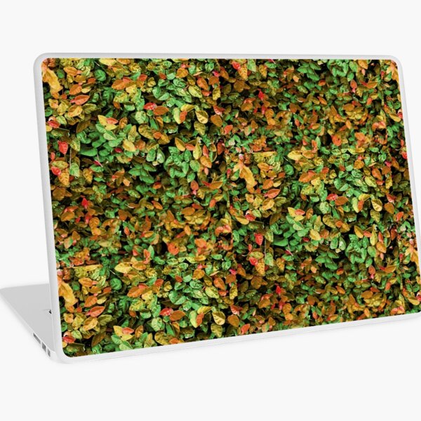 Item preview, autumn leaves designed and sold by paladinprints.