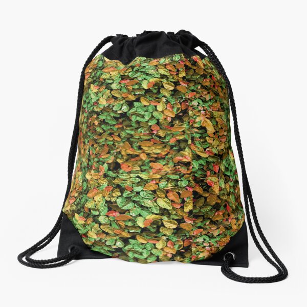 Item preview, autumn leaves designed and sold by paladinprints.
