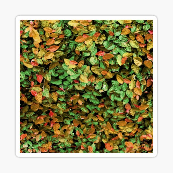 Item preview, autumn leaves designed and sold by paladinprints.