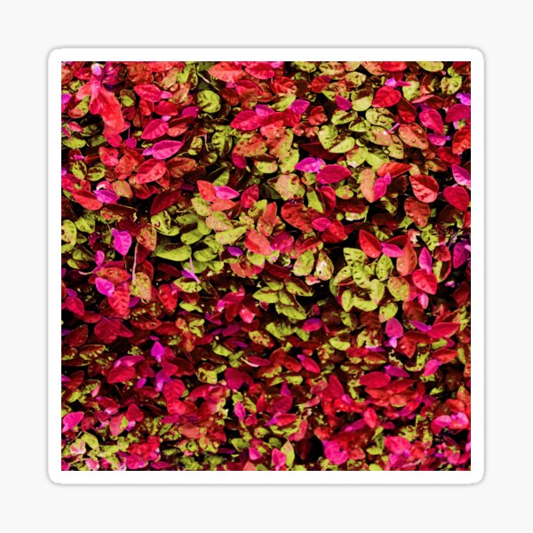 Item preview, colorpop leaves designed and sold by paladinprints.