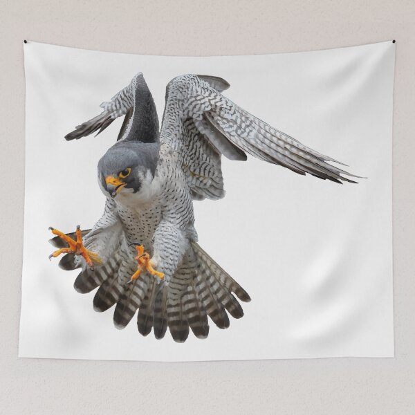 Item preview, Peregrine Falcon Landing designed and sold by YoshiArtDesign.