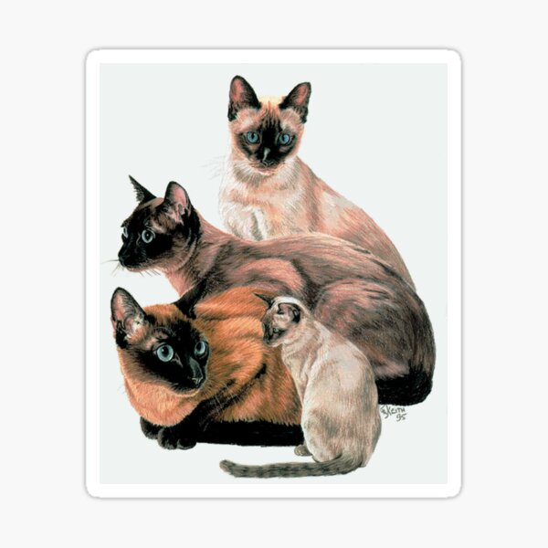Tonkinese Assortment Sticker