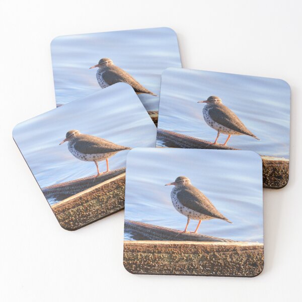 Item preview, Spotted sandpiper designed and sold by Parks and X.