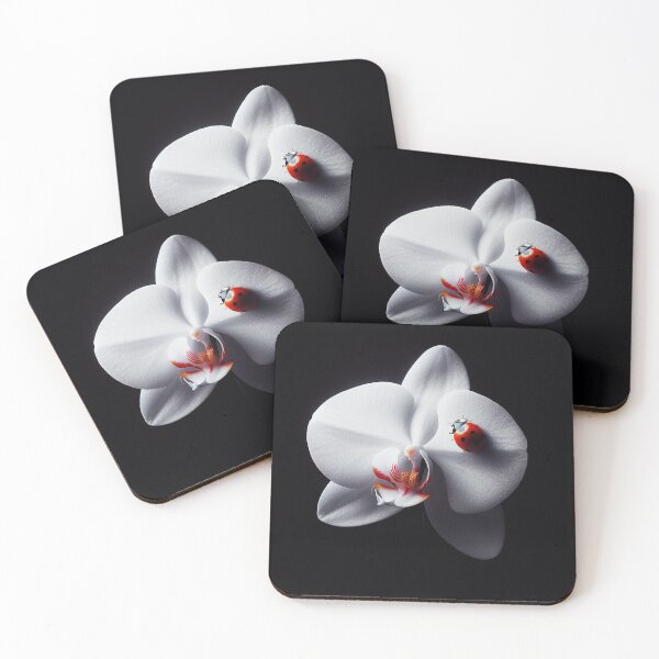 Item preview,  Ladybug sitting on single white orchid designed and sold by Kaduna5@Asunaaa.