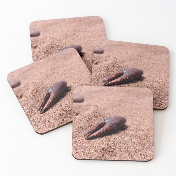 Item preview, Claw designed and sold by WilfuerM.