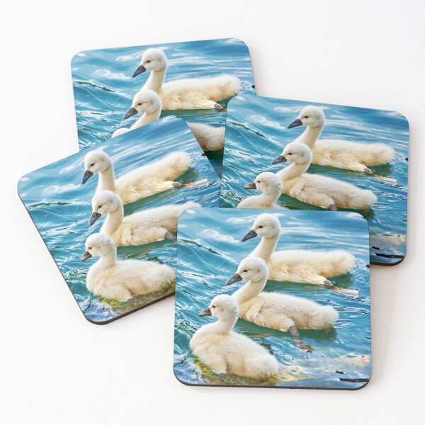Item preview, Swan chicks – fluffy elegance by the water designed and sold by beatbieri.ch.