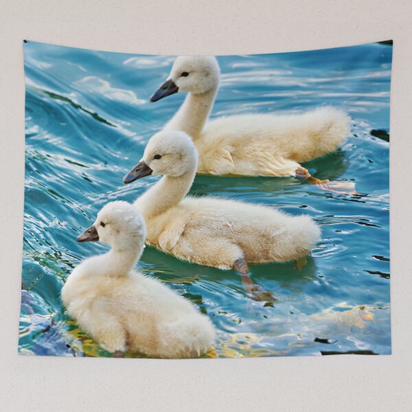 Item preview, Swan chicks – fluffy elegance by the water designed and sold by beatbieri.ch.