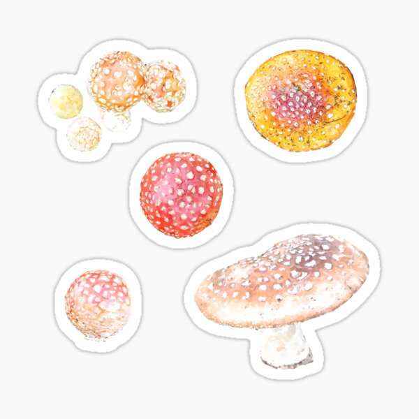 Fly Amanita Mushrooms Sticker