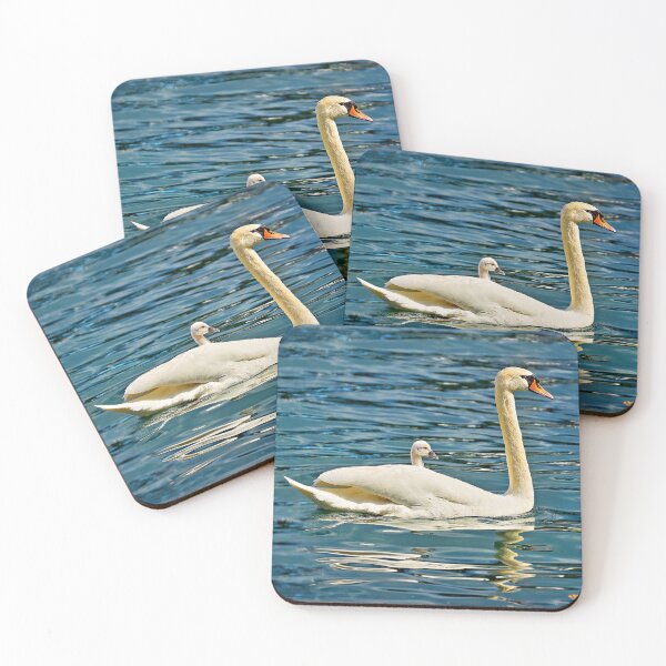 Item preview, Swan with chicks on its back – loving animal mother in action designed and sold by beatbieri.ch.