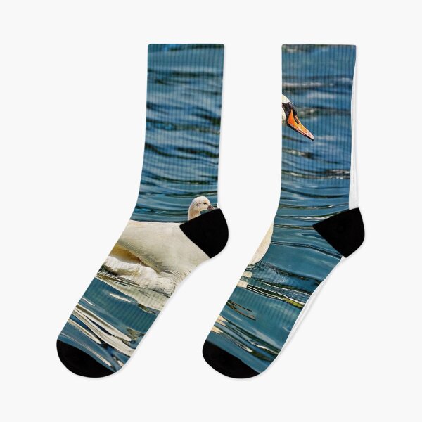 Item preview, Swan with chicks on its back – loving animal mother in action designed and sold by beatbieri.ch.