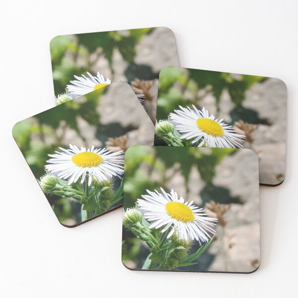 Item preview, Daisy designed and sold by WilfuerM.