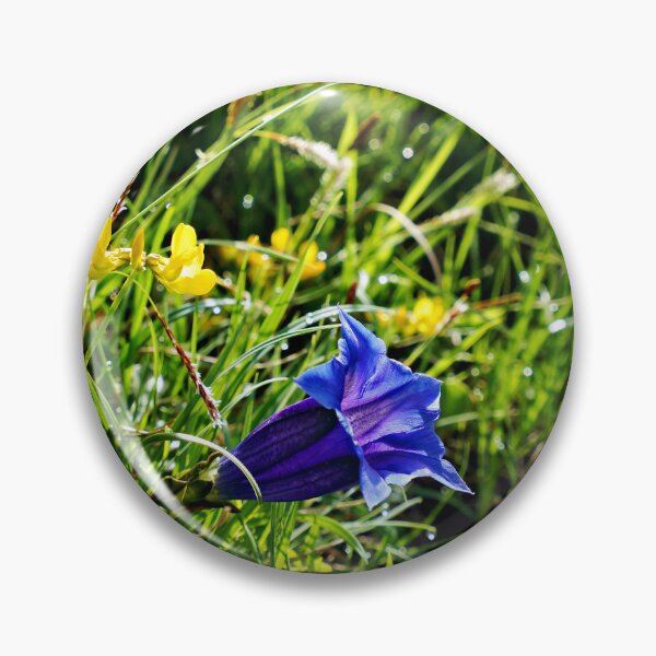 Item preview, Alpine Gentian – Deep blue jewel of the mountains designed and sold by beatbieri.ch.