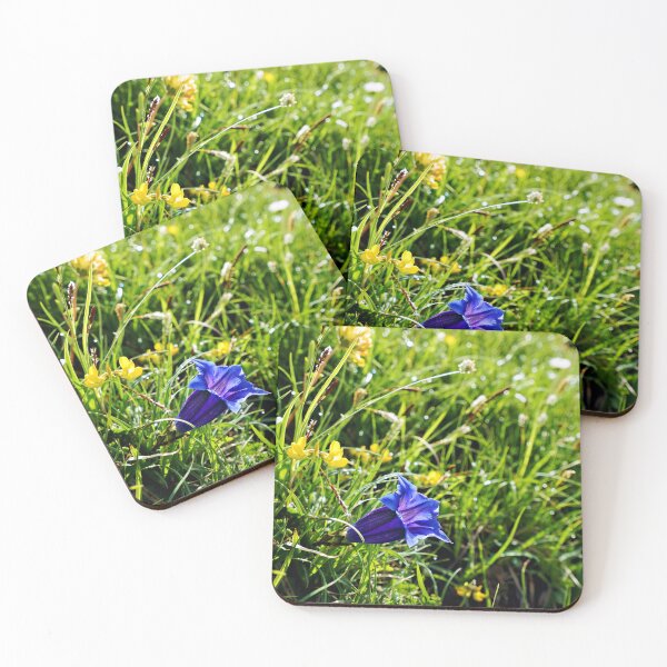 Item preview, Alpine Gentian – Deep blue jewel of the mountains designed and sold by beatbieri.ch.