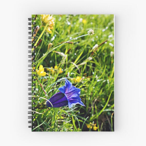 Item preview, Alpine Gentian – Deep blue jewel of the mountains designed and sold by beatbieri.ch.