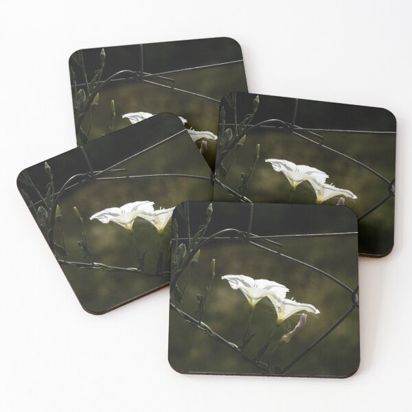 Item preview, Life in the wires designed and sold by Betweenphoto.