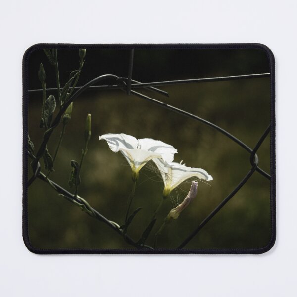 Item preview, Life in the wires designed and sold by Betweenphoto.