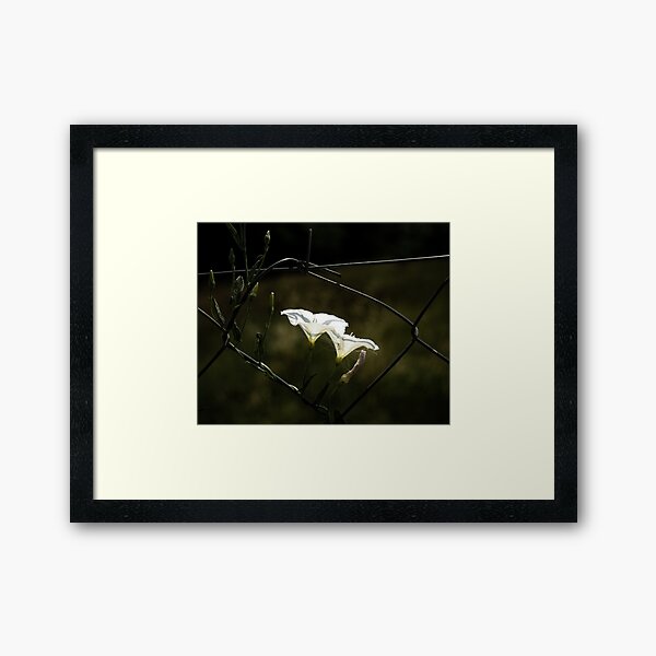 Item preview, Life in the wires designed and sold by Betweenphoto.