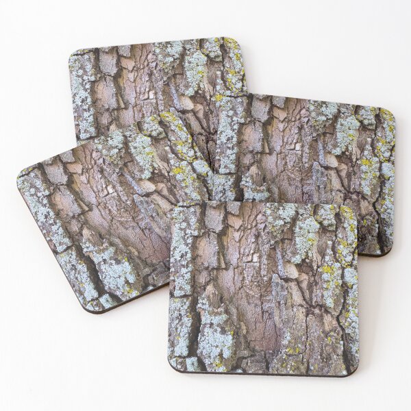 Item preview, Quercus Velutina designed and sold by South Bay Storyteller .