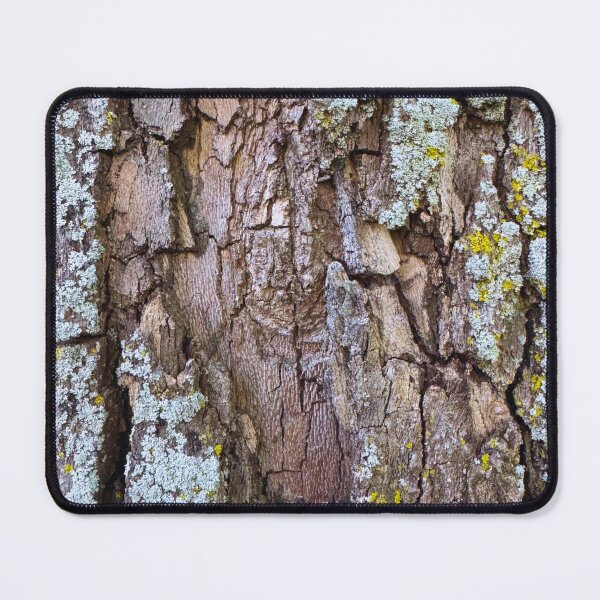 Item preview, Quercus Velutina designed and sold by South Bay Storyteller .