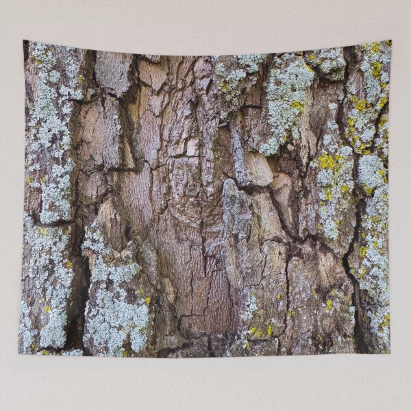 Item preview, Quercus Velutina designed and sold by South Bay Storyteller .