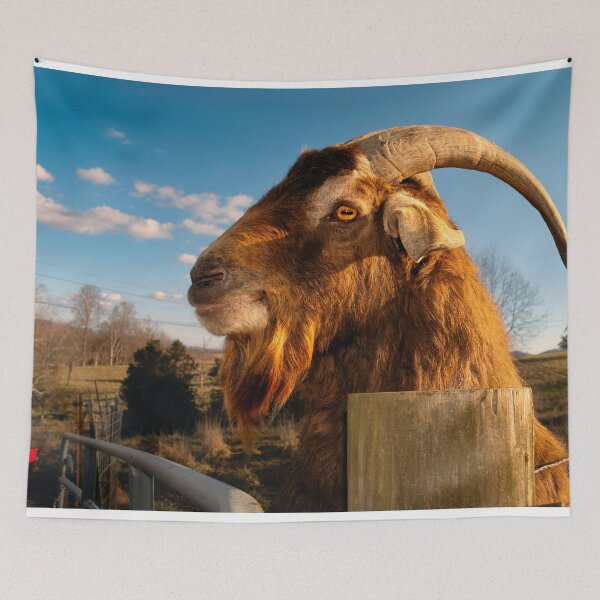 Item preview, Big Lovable Goofball designed and sold by Jim Love.