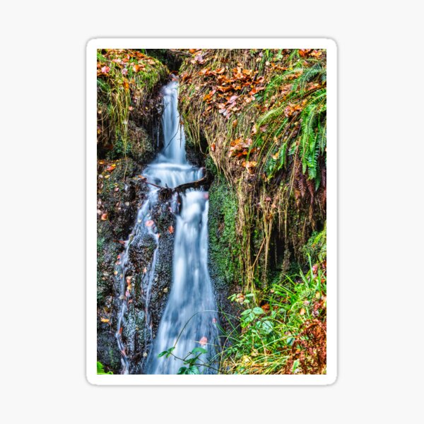 Hamsterley 770 Sticker